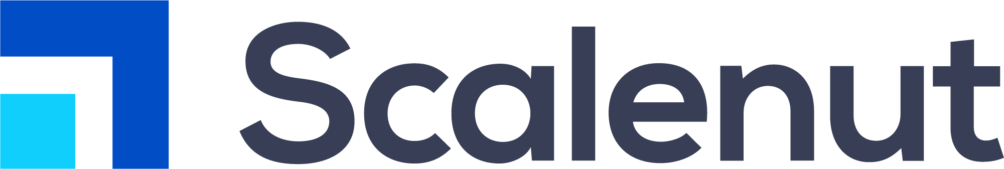 Scalenut 3.0 (Scalenut) Logo
